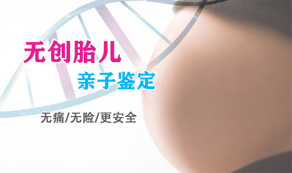 海南省怀孕亲子鉴定收费多少钱, 海南省怀孕亲子鉴定收费多少钱,