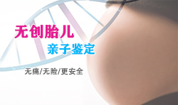海南省怀孕亲子鉴定收费多少钱（专家咨询）