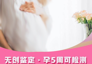 在海南省刚怀孕如何做产前亲子鉴定,海南省办理孕期亲子鉴定准确可靠吗 在海南省刚怀孕如何做产前亲子鉴定,海南省办理孕期亲子鉴定准确可靠吗