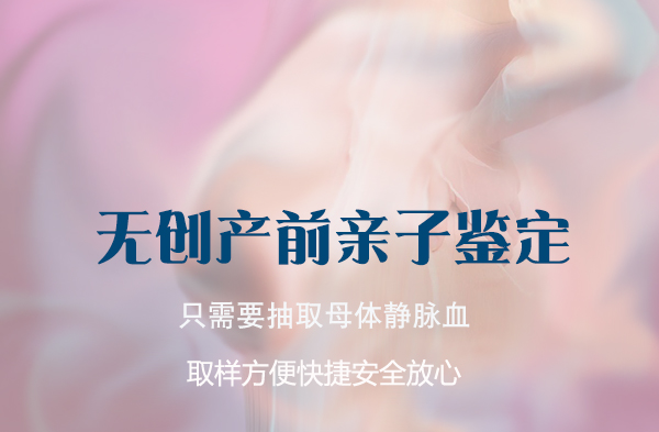 在海南省刚怀孕如何做产前亲子鉴定,海南省办理孕期亲子鉴定准确可靠吗 在海南省刚怀孕如何做产前亲子鉴定,海南省办理孕期亲子鉴定准确可靠吗