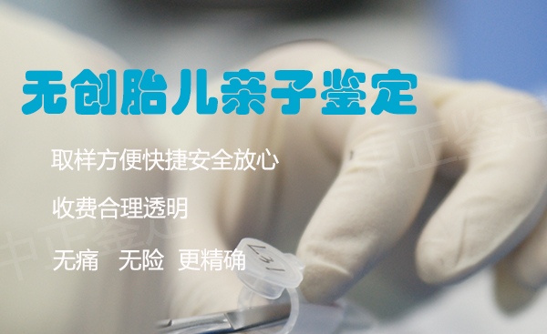 海南省怀孕亲子鉴定如何做,海南省孕期亲子鉴定准确吗 海南省怀孕亲子鉴定如何做,海南省孕期亲子鉴定准确吗