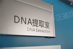 海南省司法DNA亲子鉴定要如何办理在线咨询，海南省司法亲子鉴定费用大概多少