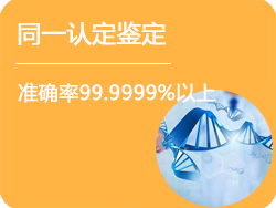 海南DNA同一认定